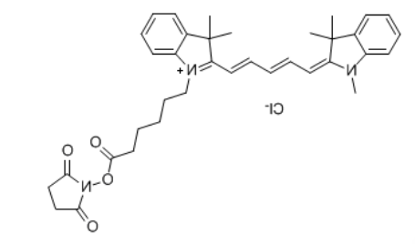 CY5-NHS ester