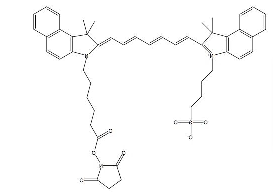 ICG-NHS ester 