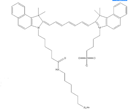 ICG-Amine 