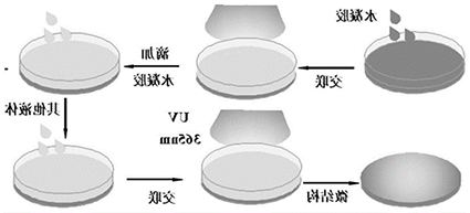 甘草次酸修饰姜黄素白蛋白纳米粒，GA-Cur NPs，GA-PEG-Cur NPs