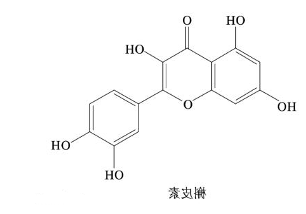 QQ截图20230223151150.png