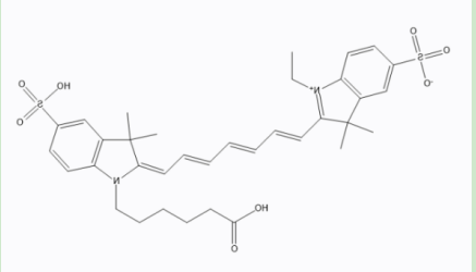姜黄素-聚乙二醇-CY7 姜黄素-聚乙二醇-CY7
