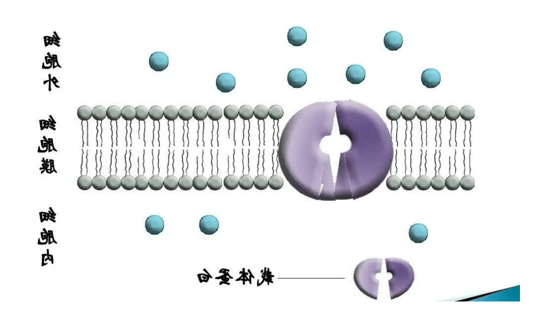 1679628701162774.png image.png