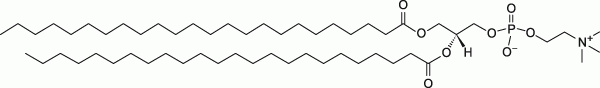 24:0 PC|1,2-dilignoceroyl-sn-glycero-3-phosphocholine 24:0 PC|1,2-dilignoceroyl-sn-glycero-3-phosphocholine