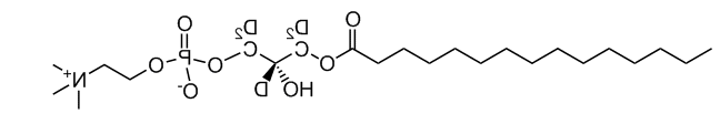 磷脂根据甘油骨架的不同可以分为磷酸甘油脂（glycerolphospholipid）和鞘磷脂（sphingolipid）。它们都是极性脂。极性脂由极性部分（叫做极性头）和非极性部分（叫做非极性尾）组成。其中，甘油磷脂又可以根据极性头部集团的不同区分为磷脂酰胆碱（Phosphatidyl cholines,PC）、磷脂酰乙醇胺（Phosphatidyl ethanolamines,PE）、磷脂酰丝氨酸（Phosphatidyl serines,PS）、磷脂酰肌醇（Phosphatidyl inositols,PI）、磷脂酰甘油（PG）、甘油磷脂酸（phosphatidic acid,PA）等
