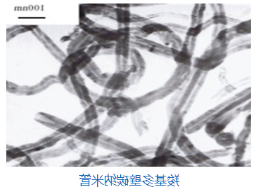 羧基化碳纳米管