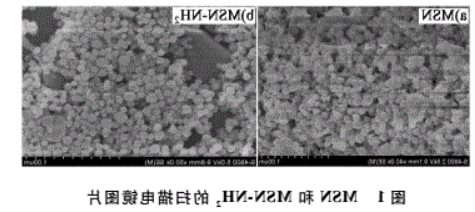 氨基化介孔二氧化硅 氨基化介孔二氧化硅