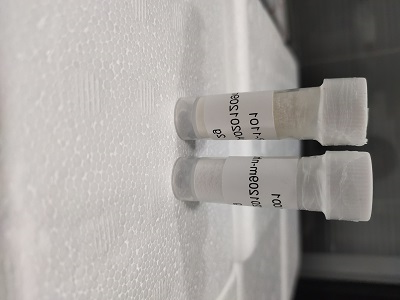 Epoxides-PEG-葡聚糖