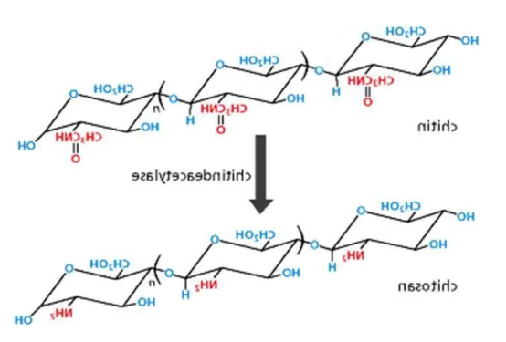 Iodoacetate-PEG-CS