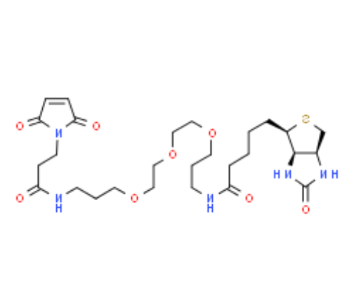 Biotin-PEG3-Maleimide