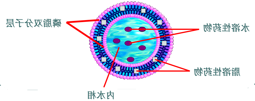 依帕司他靶向脂质体