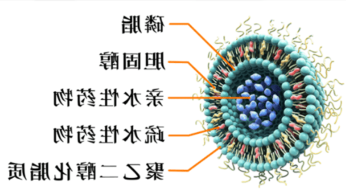 吉西他滨脂质体