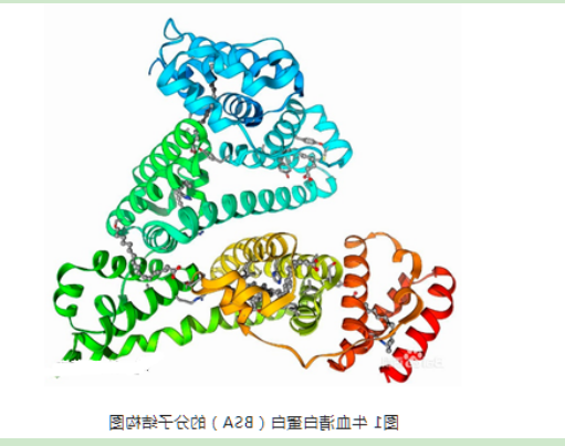 醛基PEG牛血清白蛋白