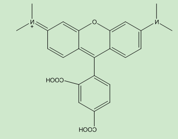 5-TAMRA（重要中间体）