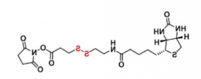 CAS:122266-55-1;Biotin-SS-NHS 生物素-二硫-活性酯 CAS:122266-55-1;Biotin-SS-NHS 生物素-二硫-活性酯