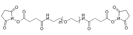SAS-PEG-SAS；α,ω-二琥珀酰胺琥珀酰亚胺酯基聚乙二醇