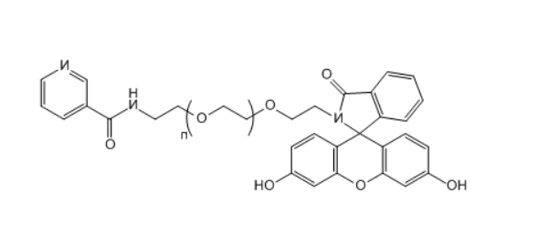 FITC-PEG-Alkyne