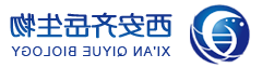 小分子peg