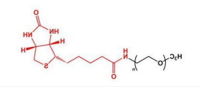 mPEG-Biotin;甲氧基聚乙二醇生物素;mPEG-BN mPEG-Biotin;甲氧基聚乙二醇生物素;mPEG-BN