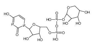 udp-阿拉伯糖CAS15839-78-8;UDP-Β-L-阿拉伯糖 udp-阿拉伯糖CAS15839-78-8;UDP-Β-L-阿拉伯糖