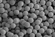链霉亲和素磁珠 100nm；Streptomyces avidin polystyrene microspheres