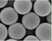 羧基修饰聚苯乙烯微球50nm；AIE绿色荧光羧基修饰聚苯乙烯微球