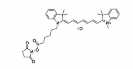Cy7 NHS(Methyl),脂性Cy7 活性酯 Cy7 NHS(Methyl),脂性Cy7 活性酯
