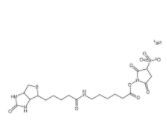 Sulfo-NHS-LC-Biotin sodium  