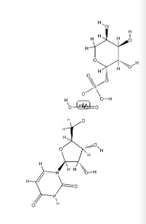 udp-阿拉伯糖CAS15839-78-8