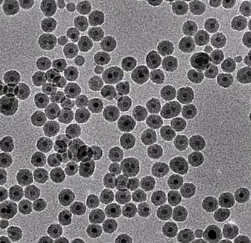 聚多巴胺纳米粒子（100 nm）