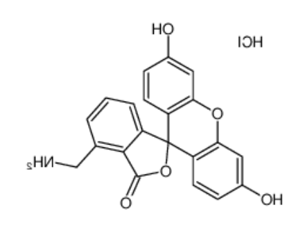 4’-胺甲基荧光素盐酸盐 4’-胺甲基荧光素盐酸盐