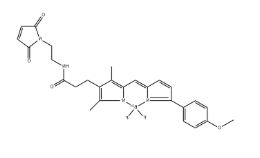 Geldanamycin-FITC