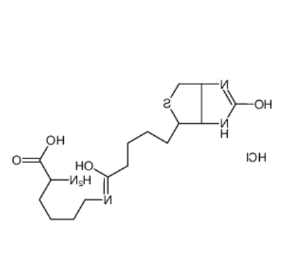 Nε-Biotinyl-L-lysine Nε-Biotinyl-L-lysine