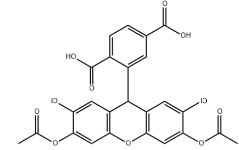 6-羧基-H2DCFDA 6-羧基-H2DCFDA