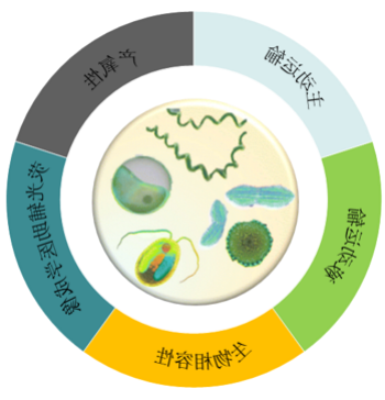 药物递送系统