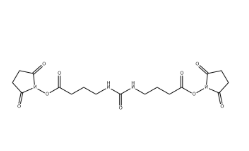 Urea-crosslinker C4-succinimide(CAS:1240387-33-0) Urea-crosslinker C4-succinimide(CAS:1240387-33-0)