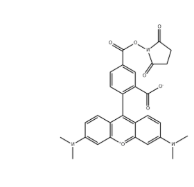 TAMRA Succinimidyl Ester TAMRA Succinimidyl Ester