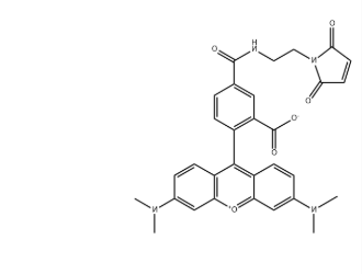 5-TAMRA-mal(CAS号:1370354-52-1) 5-TAMRA-mal(CAS号:1370354-52-1)