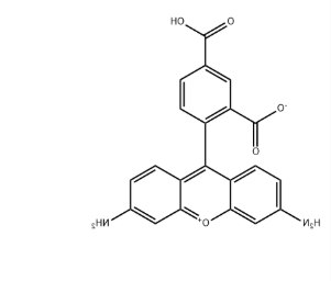 5(6)-Carboxyrhodamine 110 5(6)-Carboxyrhodamine 110