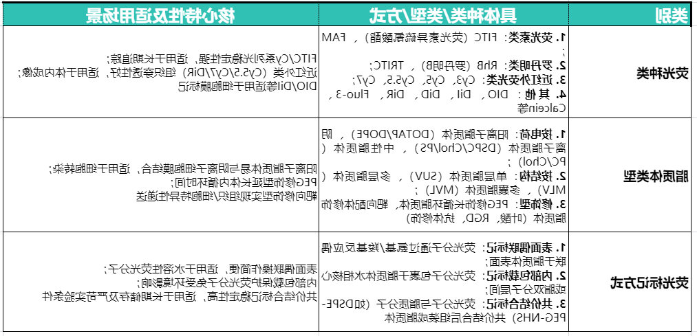 荧光标记脂质体 荧光标记脂质体
