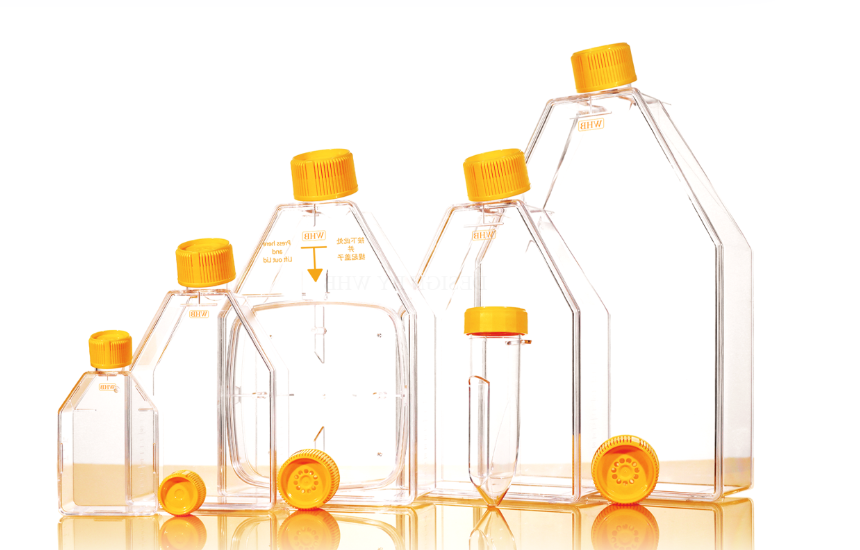 PLGA-Aldehyde