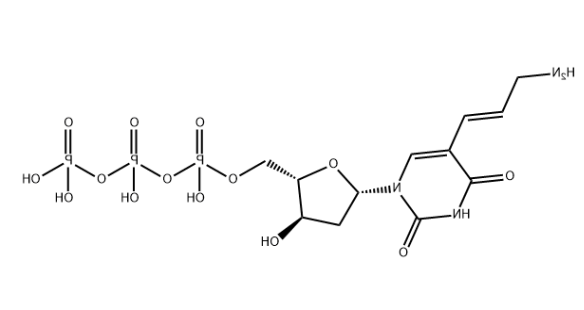 Aminoallyl-dUTP,116840-18-7 Aminoallyl-dUTP,116840-18-7