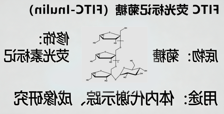 FITC-Inulin