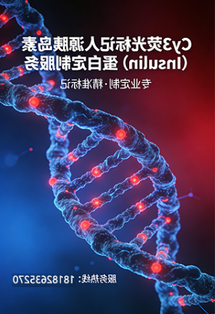 Cy3荧光标记人源胰岛素(Insulin)蛋白 Cy3荧光标记人源胰岛素(Insulin)蛋白