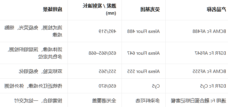 BCMA Fc AF488 BCMA Fc AF488