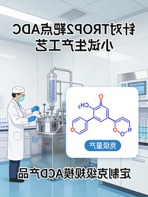 某药企TROP2靶向ADC小试工艺开发项目 某药企TROP2靶向ADC小试工艺开发项目