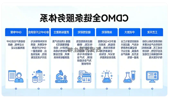 Dlin-MC3-DMA的工艺开发