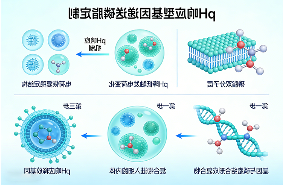 pH响应型基因递送磷脂定制