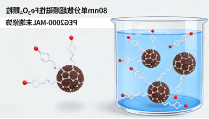 某科研院所(MRI成像与磁靶向研究) 某科研院所(MRI成像与磁靶向研究)