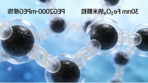 某生物科技公司(磁分离与传感检测) 某生物科技公司(磁分离与传感检测)